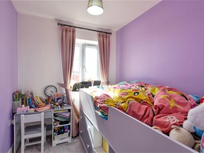 Picture 17